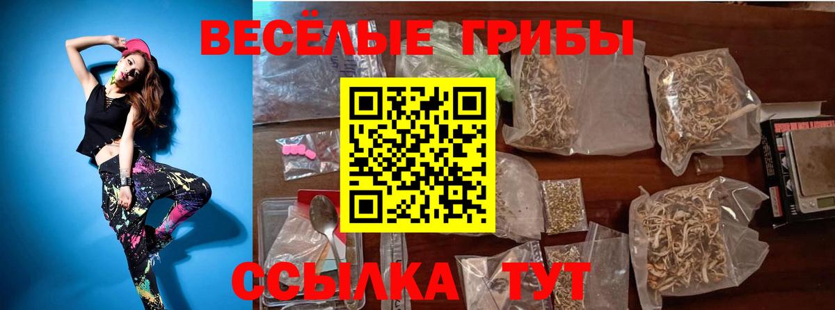 Коряжма  Псилоцибиновые грибы ЛСД  Вход с VPN 